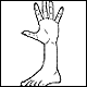 A foothand